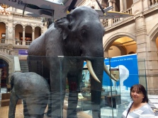 The Elephant is known as Sir Roger and the little on is Kelvin